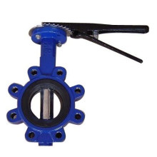 Dúctil Rion Body / Ss Disc Lug Butterfly Valve